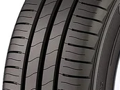 KELLY EDGE SPORT